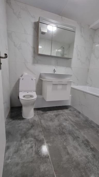 Brand New Flat Close To Turnpike Lane Tube Station London Exterior photo